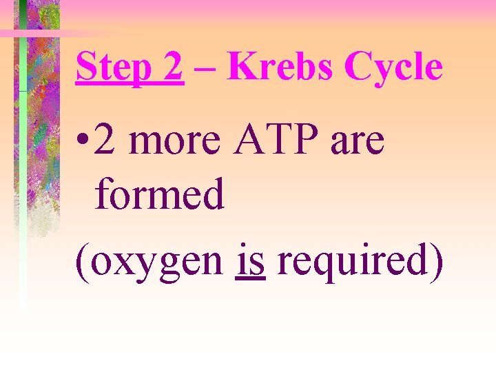 Step 2 – Krebs Cycle • 2 more ATP are formed (oxygen is required)