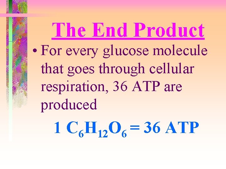 The End Product • For every glucose molecule that goes through cellular respiration, 36