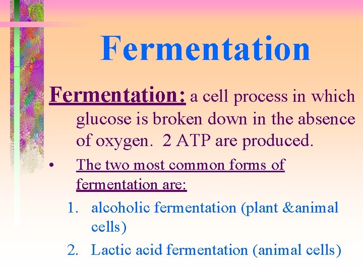 Fermentation: a cell process in which glucose is broken down in the absence of