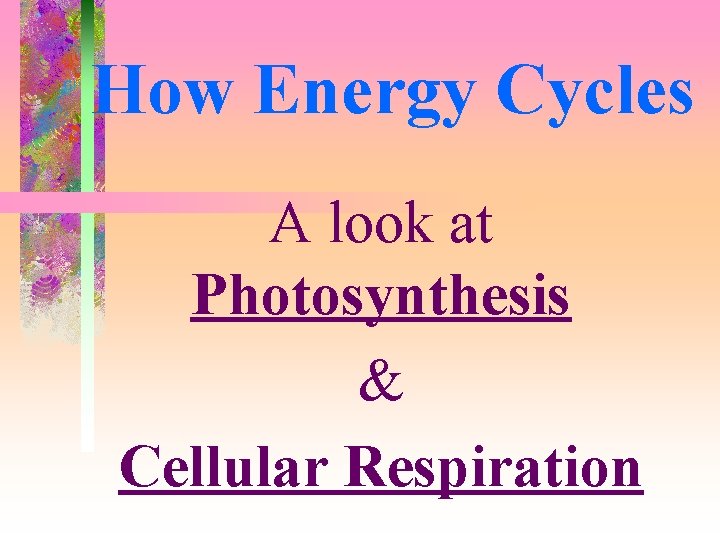 How Energy Cycles A look at Photosynthesis & Cellular Respiration 