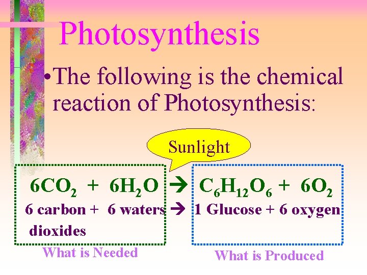 Photosynthesis • The following is the chemical reaction of Photosynthesis: Sunlight 6 CO 2