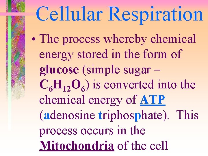Cellular Respiration • The process whereby chemical energy stored in the form of glucose