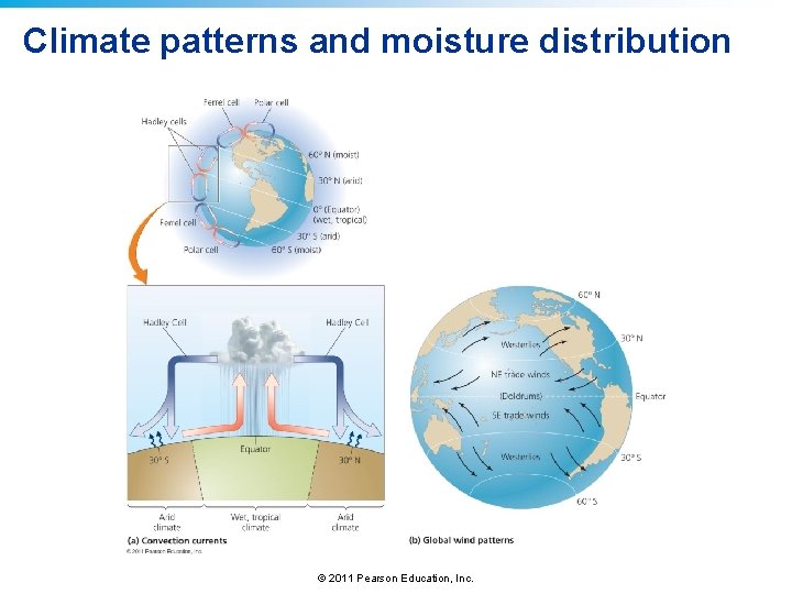 Climate patterns and moisture distribution © 2011 Pearson Education, Inc. 
