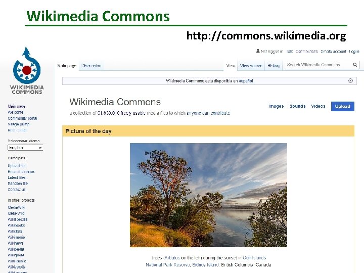 Wikimedia Commons http: //commons. wikimedia. org 