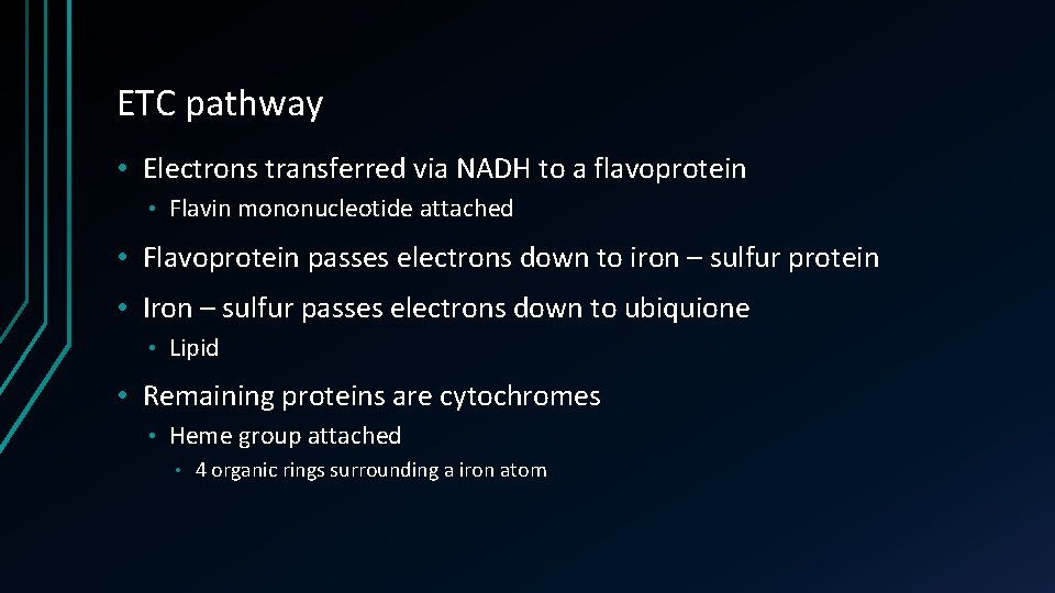 ETC pathway • Electrons transferred via NADH to a flavoprotein • Flavin mononucleotide attached