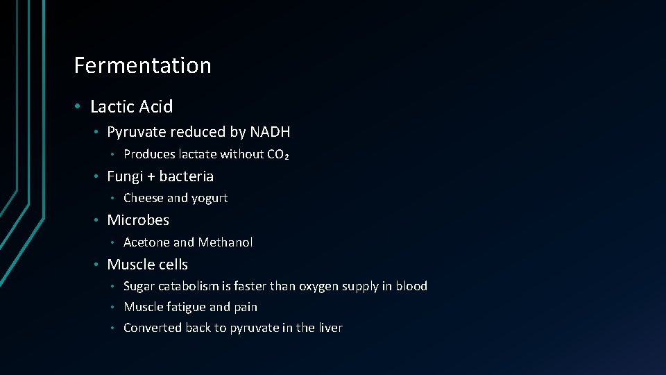 Fermentation • Lactic Acid • Pyruvate reduced by NADH • • Fungi + bacteria