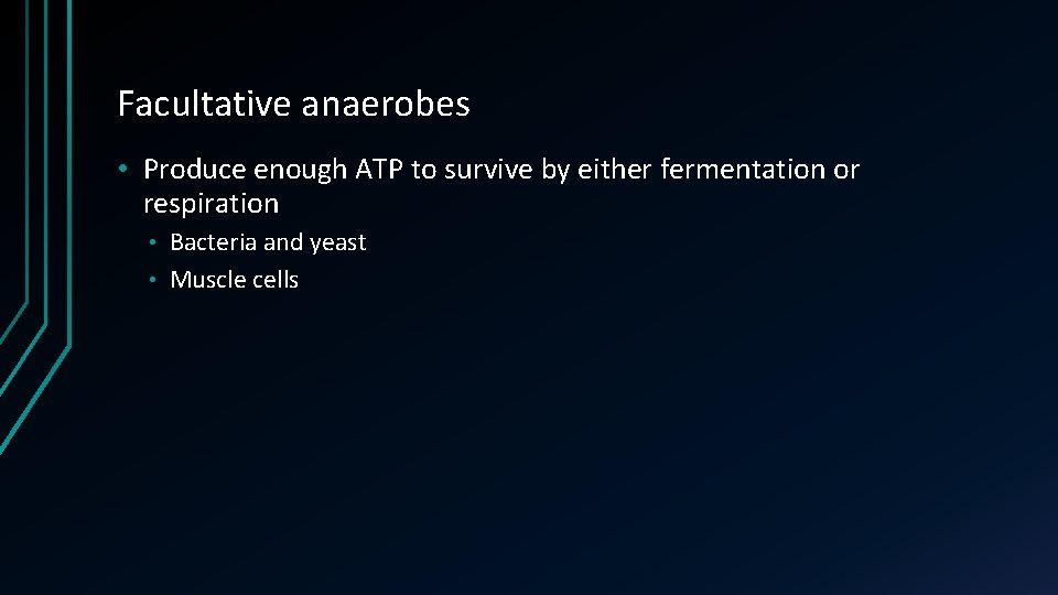 Facultative anaerobes • Produce enough ATP to survive by either fermentation or respiration Bacteria