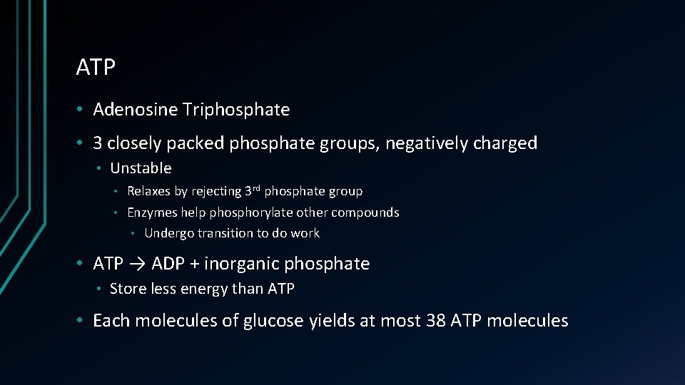 ATP • Adenosine Triphosphate • 3 closely packed phosphate groups, negatively charged • Unstable