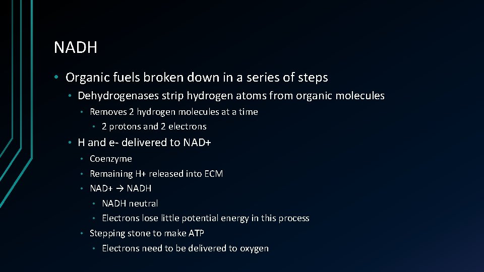 NADH • Organic fuels broken down in a series of steps • Dehydrogenases strip