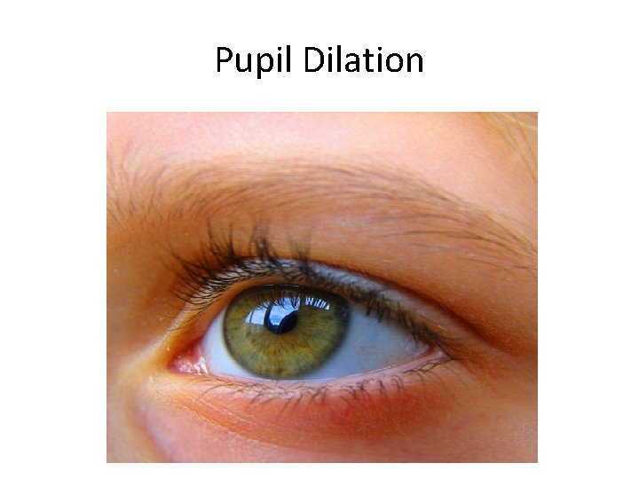 Pupil Dilation 