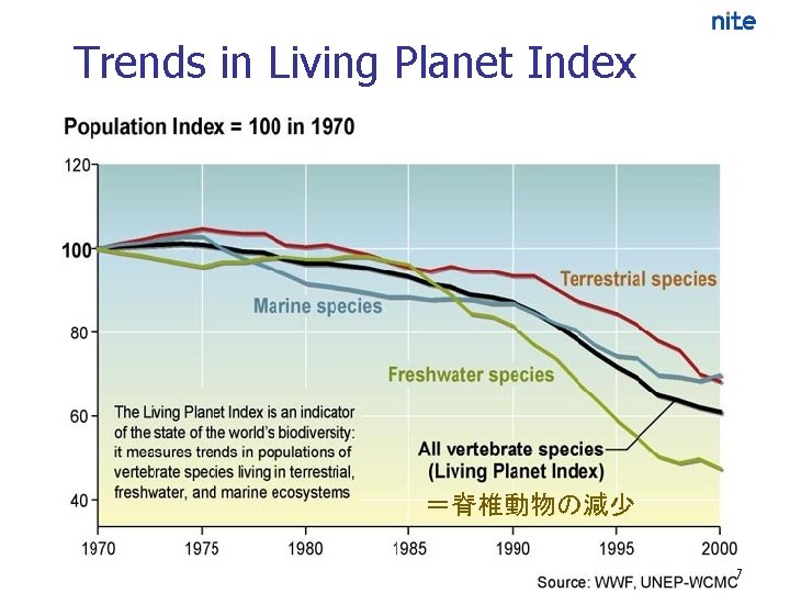 Trends in Living Planet Index ＝脊椎動物の減少 17 