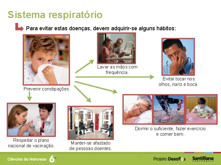 Sistema respiratório Para evitar estas doenças, devem adquirir-se alguns hábitos: Lavar as mãos com