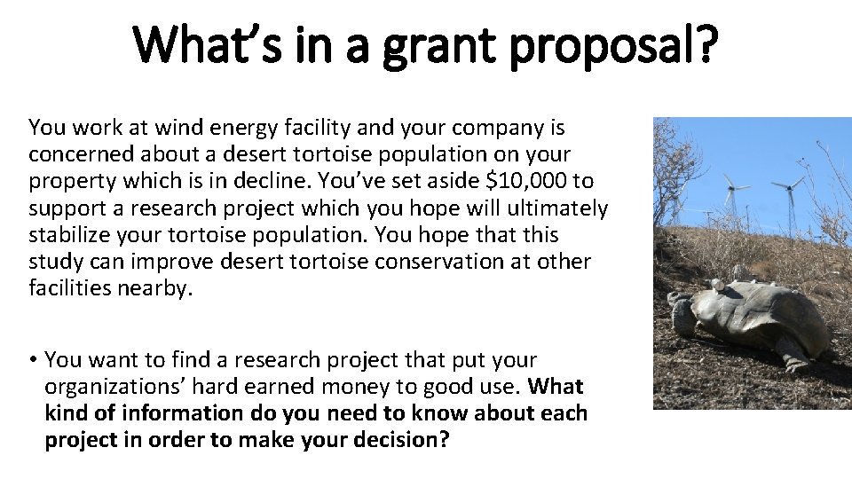 What’s in a grant proposal? You work at wind energy facility and your company