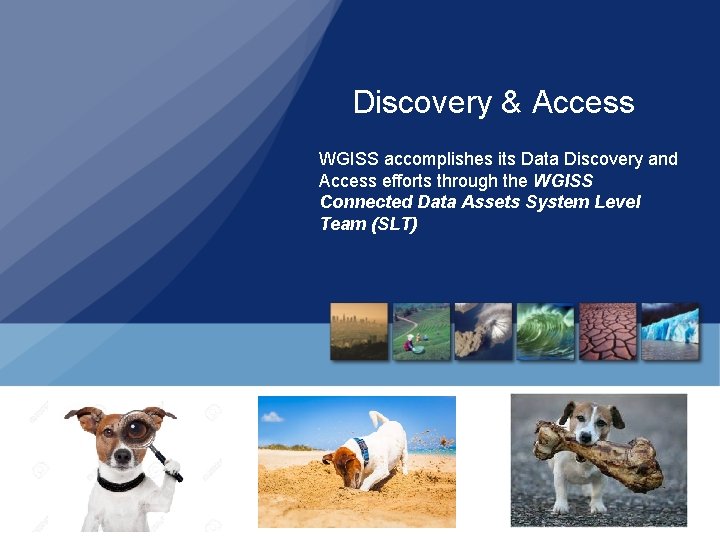 Discovery & Access WGISS accomplishes its Data Discovery and Access efforts through the WGISS