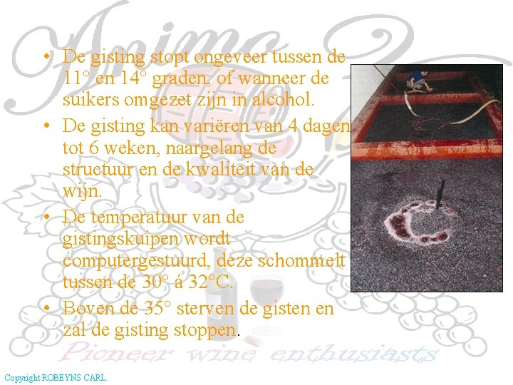  • De gisting stopt ongeveer tussen de 11° en 14° graden, of wanneer