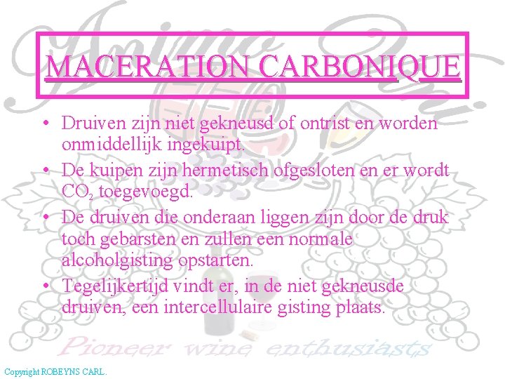 MACERATION CARBONIQUE • Druiven zijn niet gekneusd of ontrist en worden onmiddellijk ingekuipt. •