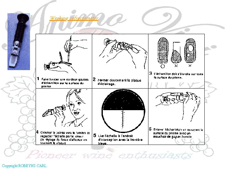 Werking refractometer. Copyright ROBEYNS CARL. 