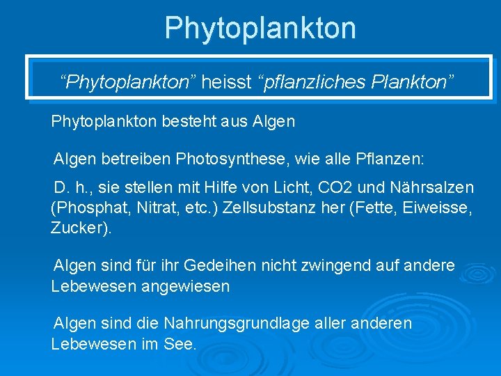 Phytoplankton “Phytoplankton” heisst “pflanzliches Plankton” Phytoplankton besteht aus Algen betreiben Photosynthese, wie alle Pflanzen: