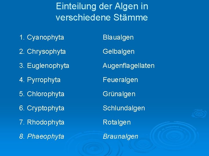 Einteilung der Algen in verschiedene Stämme 1. Cyanophyta Blaualgen 2. Chrysophyta Gelbalgen 3. Euglenophyta