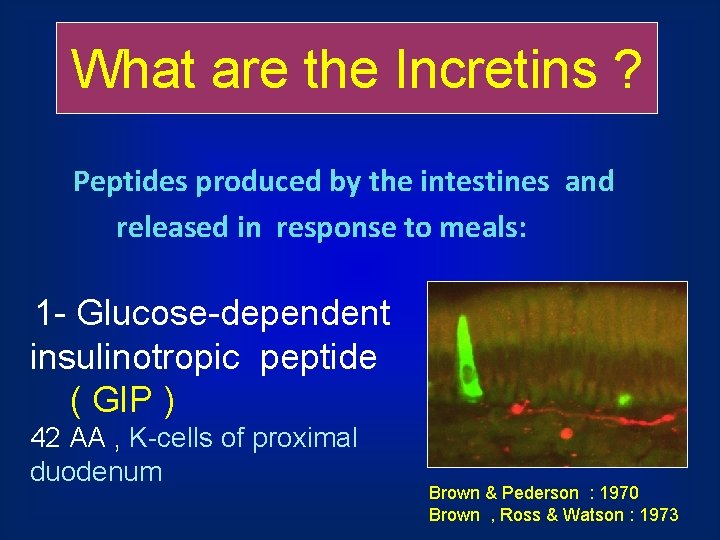 What are the Incretins ? Peptides produced by the intestines and released in response