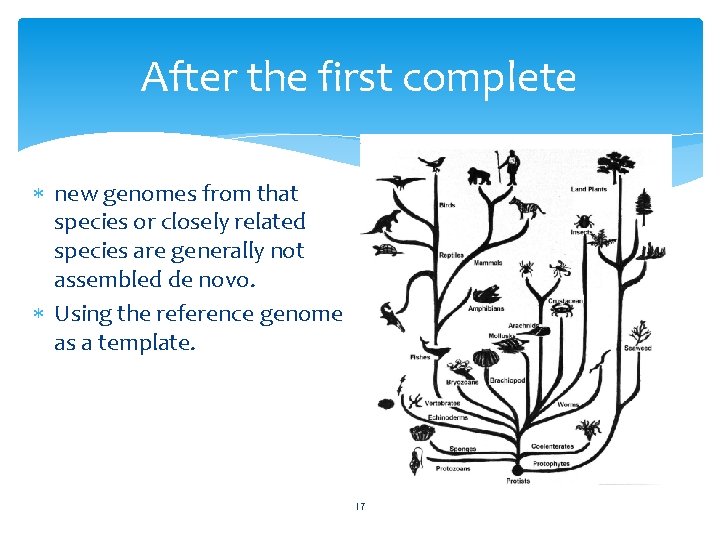 After the first complete new genomes from that species or closely related species are
