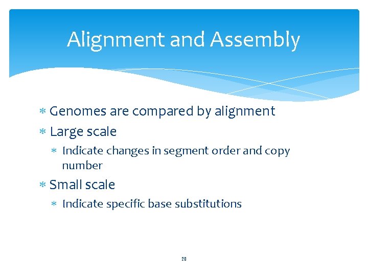 Alignment and Assembly Genomes are compared by alignment Large scale Indicate changes in segment