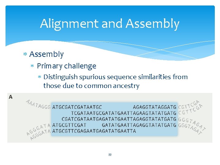 Alignment and Assembly Primary challenge Distinguish spurious sequence similarities from those due to common