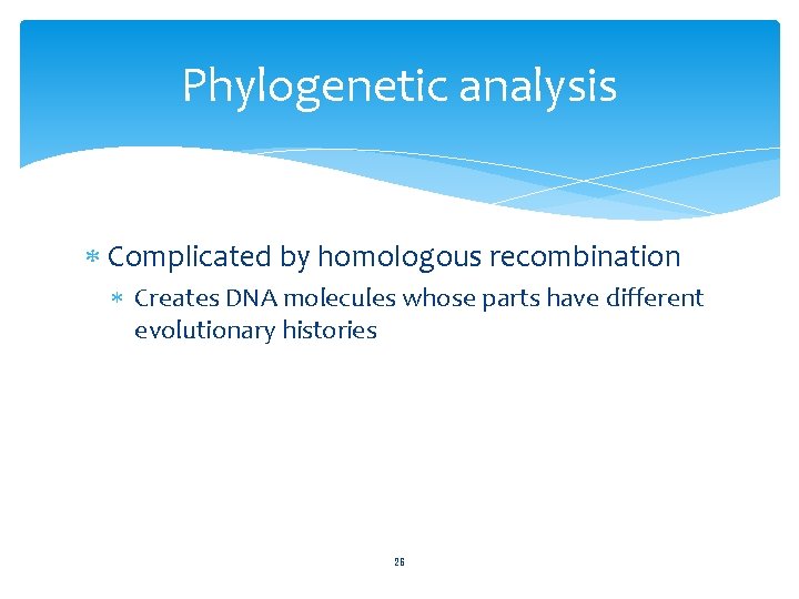 Phylogenetic analysis Complicated by homologous recombination Creates DNA molecules whose parts have different evolutionary
