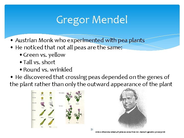Gregor Mendel • Austrian Monk who experimented with pea plants • He noticed that