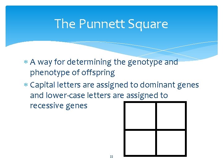 The Punnett Square A way for determining the genotype and phenotype of offspring Capital