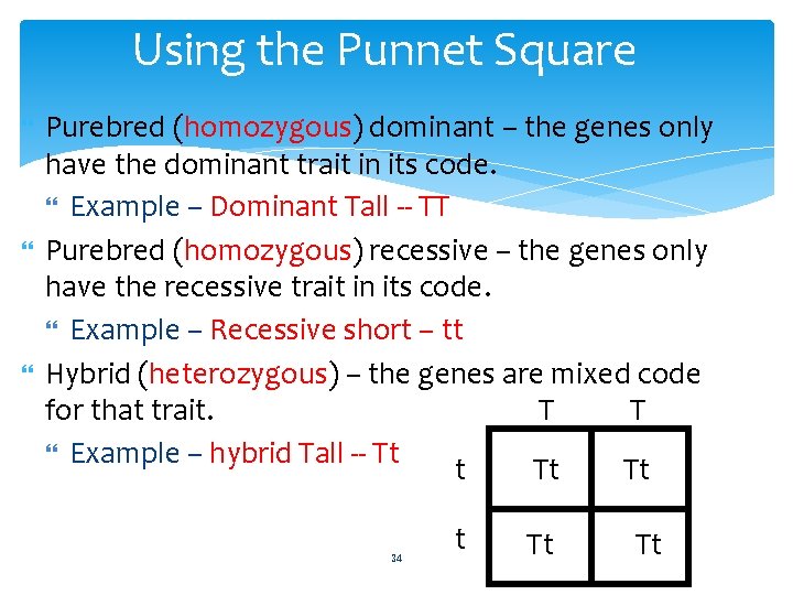 Using the Punnet Square Purebred (homozygous) dominant – the genes only have the dominant