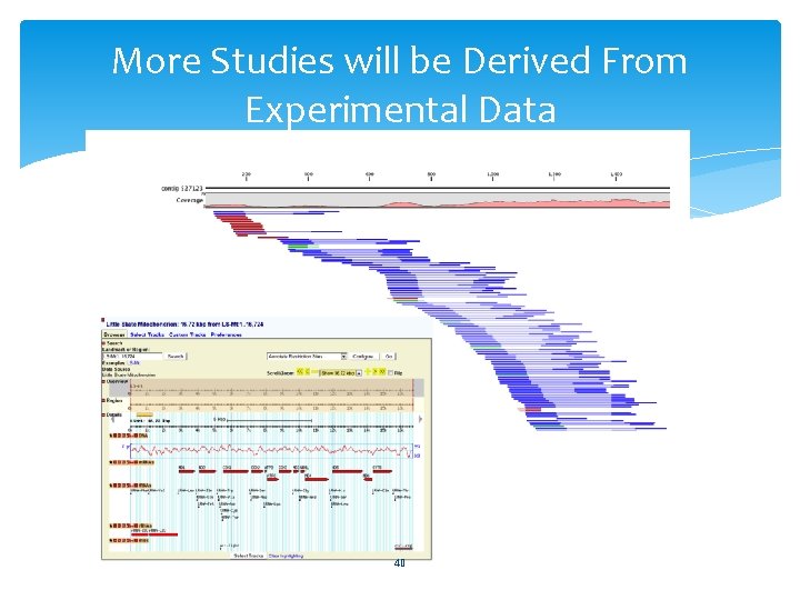 More Studies will be Derived From Experimental Data 40 