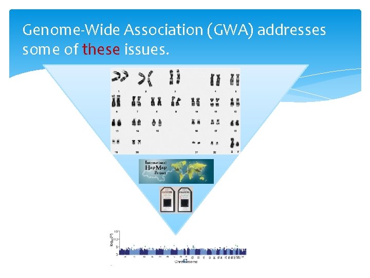 Genome-Wide Association (GWA) addresses some of these issues. 43 