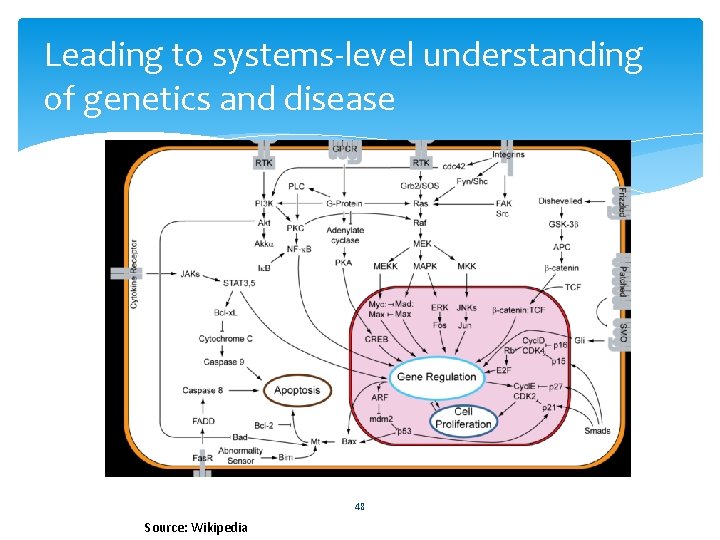 Leading to systems-level understanding of genetics and disease 48 Source: Wikipedia 
