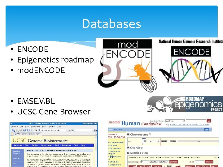 Databases • ENCODE • Epigenetics roadmap • mod. ENCODE • EMSEMBL • UCSC Gene