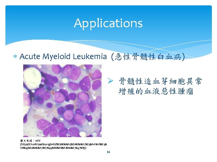Applications Acute Myeloid Leukemia (急性骨髓性白血病) Ø 骨髓性造血芽細胞異常 增殖的血液惡性腫瘤 圖片來源：wiki (http: //zh. wikipedia. org/wiki/%E 6%80%A