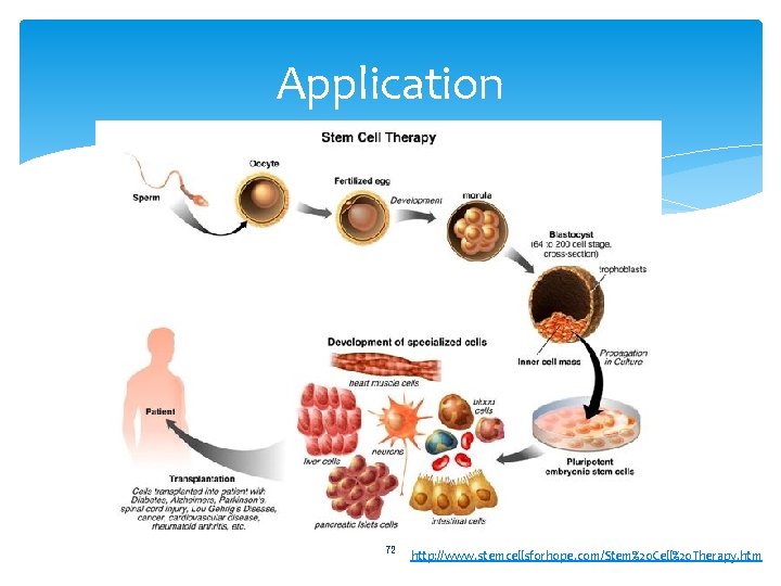Application 72 http: //www. stemcellsforhope. com/Stem%20 Cell%20 Therapy. htm 