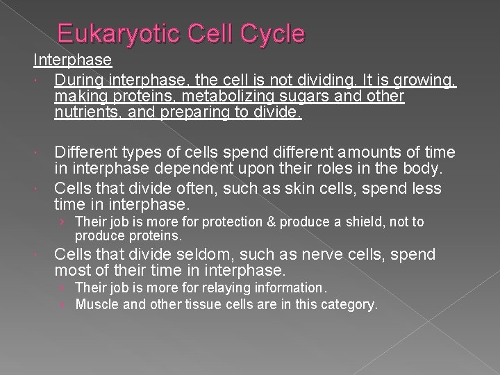 Eukaryotic Cell Cycle Interphase During interphase, the cell is not dividing. It is growing,