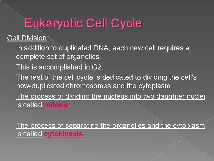 Eukaryotic Cell Cycle Cell Division In addition to duplicated DNA, each new cell requires