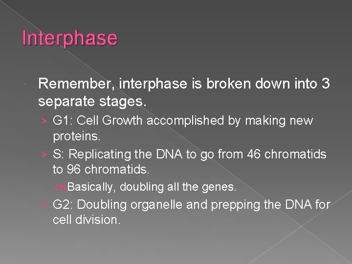 Interphase Remember, interphase is broken down into 3 separate stages. › G 1: Cell