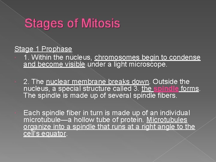 Stages of Mitosis Stage 1 Prophase 1. Within the nucleus, chromosomes begin to condense