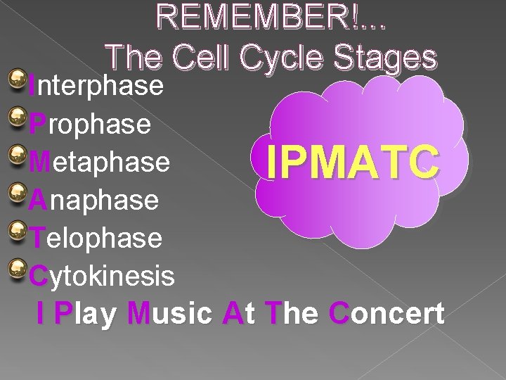 REMEMBER!. . . The Cell Cycle Stages Interphase Prophase Metaphase Anaphase Telophase Cytokinesis IPMATC