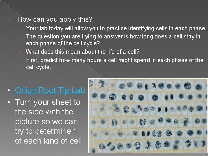  How can you apply this? › Your lab today will allow you to