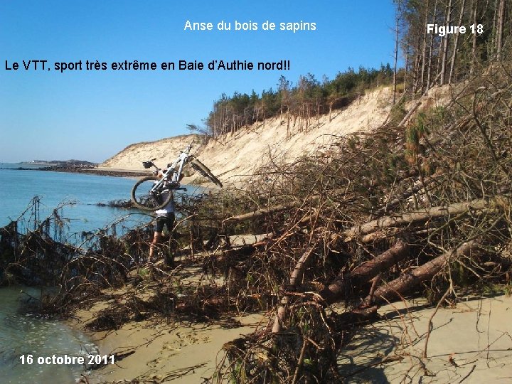 Anse du bois de sapins Le VTT, sport très extrême en Baie d’Authie nord!!