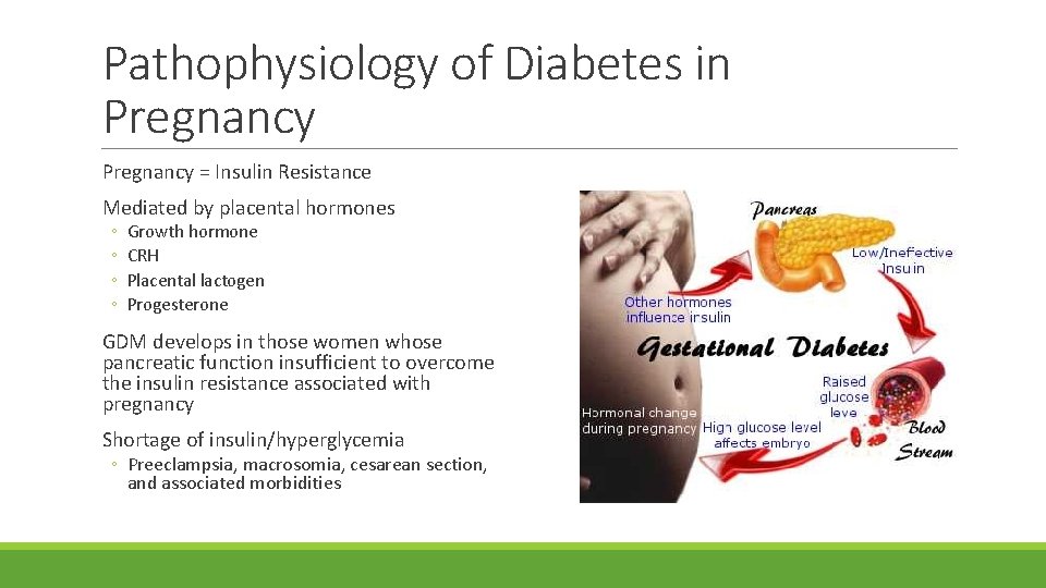 Pathophysiology of Diabetes in Pregnancy = Insulin Resistance Mediated by placental hormones ◦ ◦