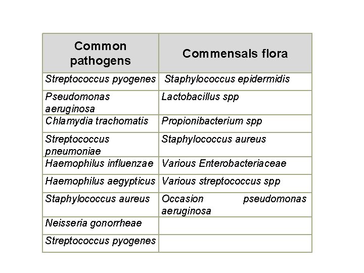 Common pathogens Commensals flora Streptococcus pyogenes Staphylococcus epidermidis Pseudomonas aeruginosa Chlamydia trachomatis Lactobacillus spp