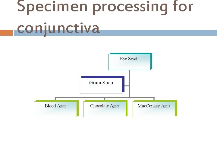 Specimen processing for conjunctiva 