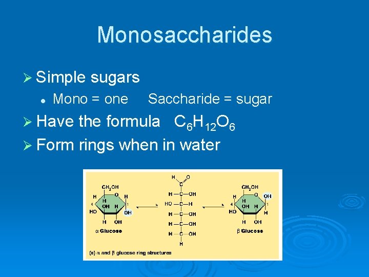 Monosaccharides Ø Simple sugars l Mono = one Saccharide = sugar Ø Have the