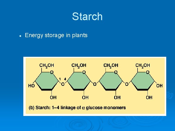 Starch l Energy storage in plants 