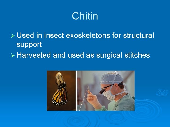 Chitin Ø Used in insect exoskeletons for structural support Ø Harvested and used as